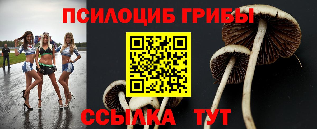 Псилоцибиновые грибы Magic Shrooms Лениногорск
