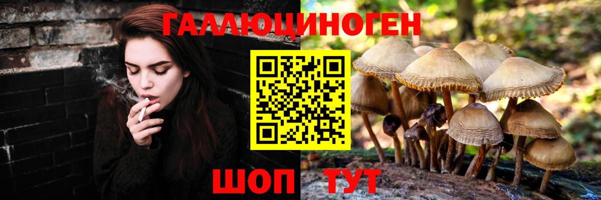 Лениногорск  Псилоцибиновые грибы мухоморы  Вход с VPN 